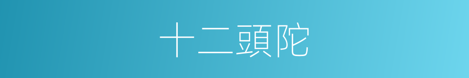 十二頭陀的意思