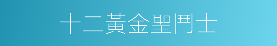 十二黃金聖鬥士的同義詞