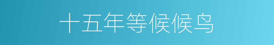 十五年等候候鸟的同义词