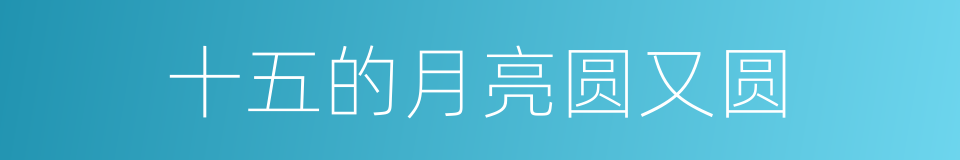 十五的月亮圆又圆的同义词
