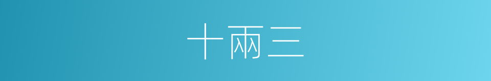 十兩三的同義詞