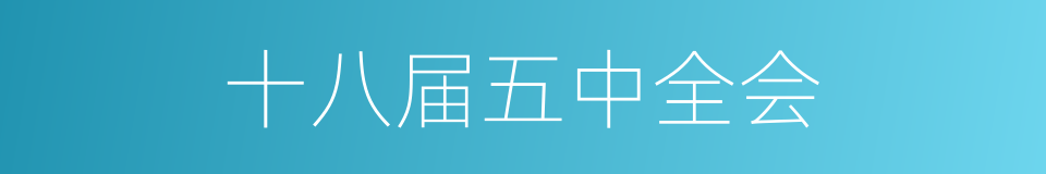 十八届五中全会的同义词