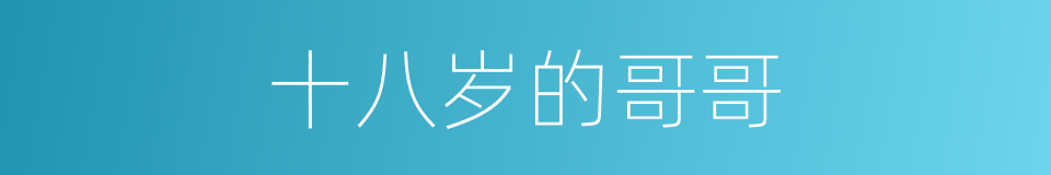 十八岁的哥哥的同义词