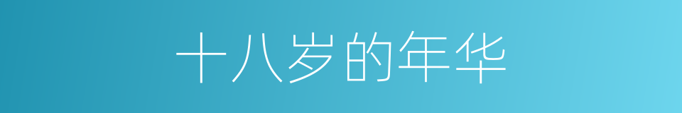 十八岁的年华的同义词