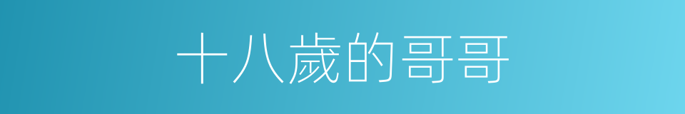 十八歲的哥哥的同義詞