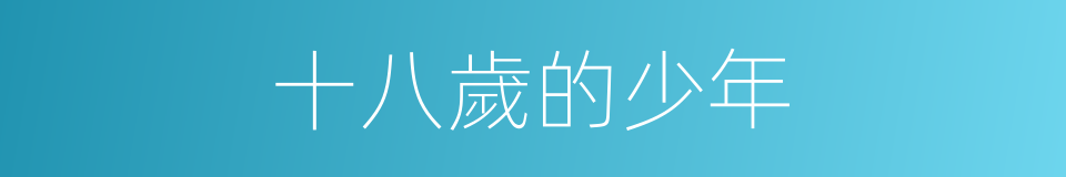 十八歲的少年的同義詞