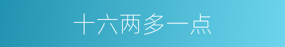 十六两多一点的同义词