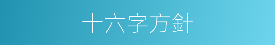 十六字方針的同義詞