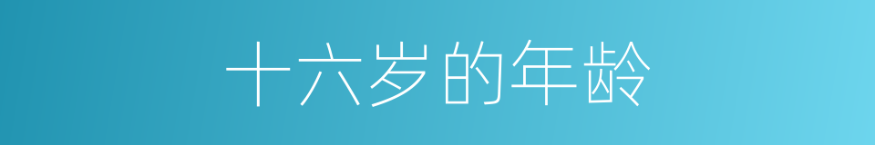 十六岁的年龄的同义词