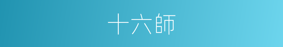 十六師的同義詞