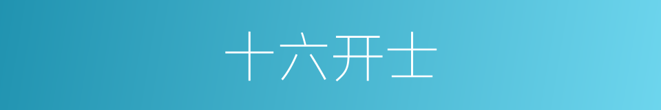 十六开士的同义词
