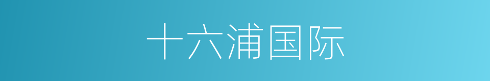 十六浦国际的同义词