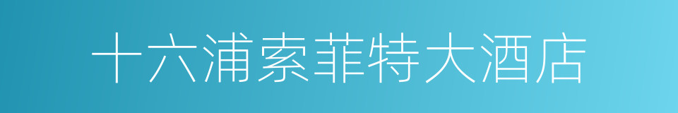 十六浦索菲特大酒店的同义词