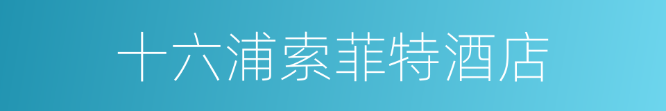 十六浦索菲特酒店的同义词