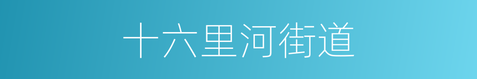 十六里河街道的同义词