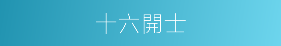 十六開士的同義詞