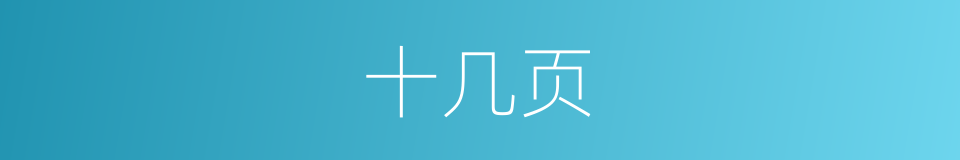 十几页的同义词