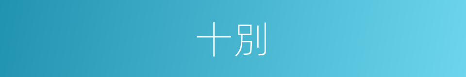 十別的同義詞