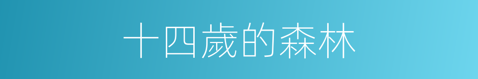 十四歲的森林的同義詞