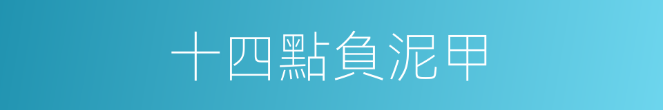 十四點負泥甲的同義詞