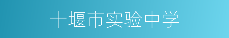 十堰市实验中学的同义词