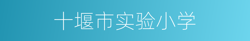 十堰市实验小学的同义词