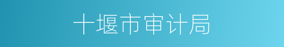 十堰市审计局的同义词