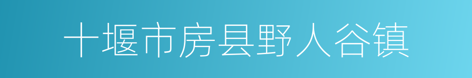 十堰市房县野人谷镇的同义词