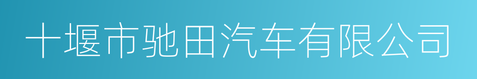 十堰市驰田汽车有限公司的同义词