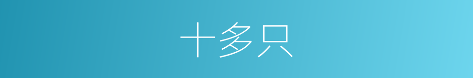 十多只的同义词
