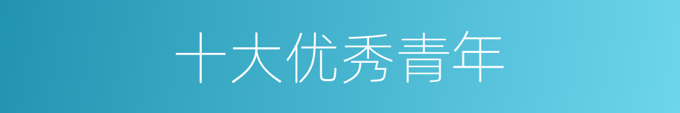 十大优秀青年的同义词