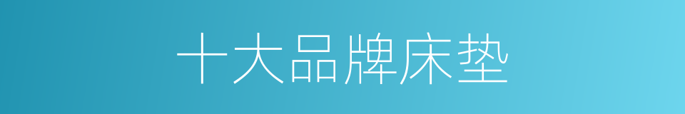 十大品牌床垫的同义词