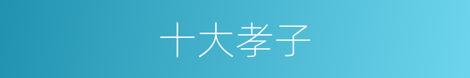 十大孝子的同义词