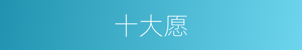十大愿的同义词