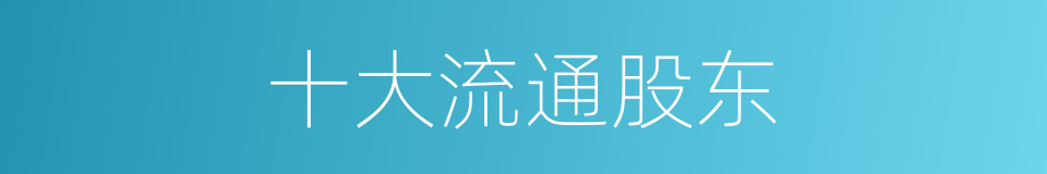 十大流通股东的同义词