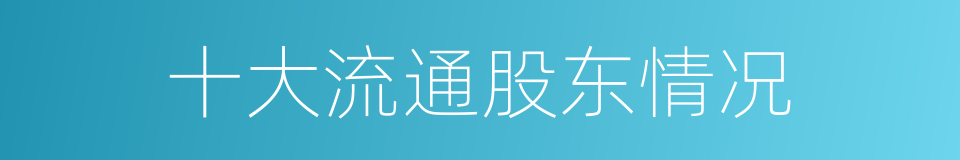十大流通股东情况的同义词