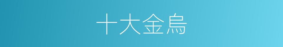 十大金烏的同義詞