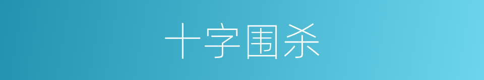 十字围杀的同义词