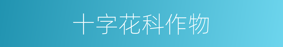 十字花科作物的同义词