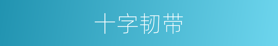 十字韧带的同义词