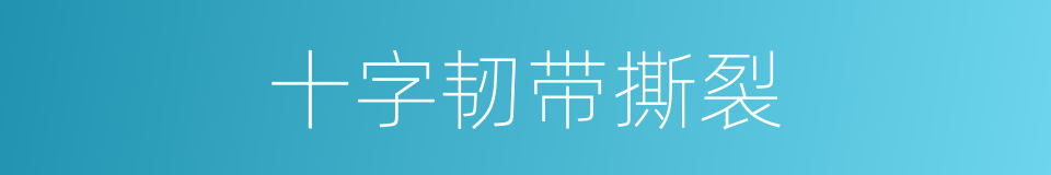 十字韧带撕裂的同义词