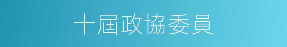 十屆政協委員的同義詞