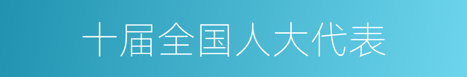 十届全国人大代表的同义词