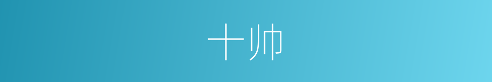 十帅的同义词