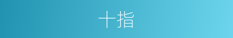 十指的意思