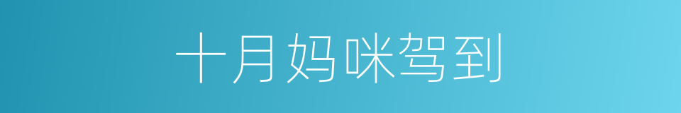 十月妈咪驾到的同义词