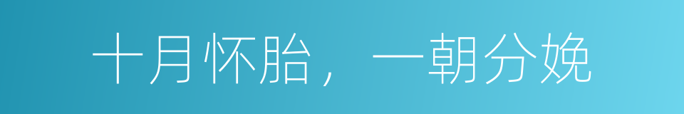 十月怀胎，一朝分娩的同义词
