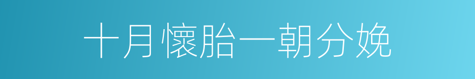 十月懷胎一朝分娩的同義詞