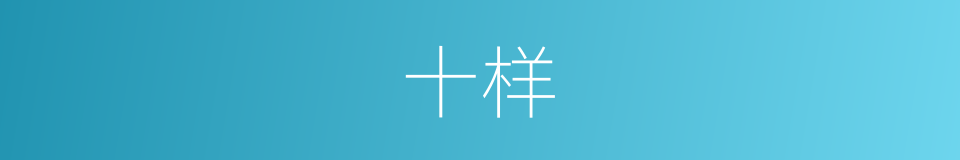 十样的同义词