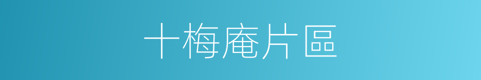 十梅庵片區的同義詞